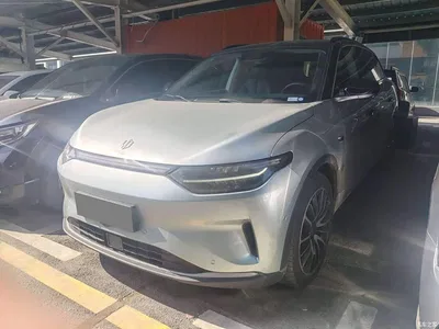 2021 Leapmotor C11 Model Premium Edition, фото 1, лот 10445060