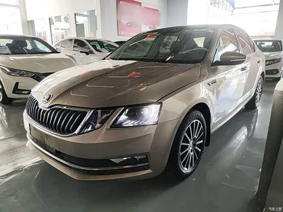 2019 Škoda Octavia 1.5L Automatic Smart Luxury China VI, фото 2, лот 10348007