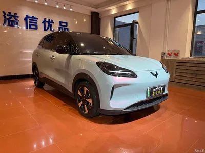 2024 Wuling Motors Wuling Binguo PLUS 510km Range 5-seater, фото 3, лот 10836399