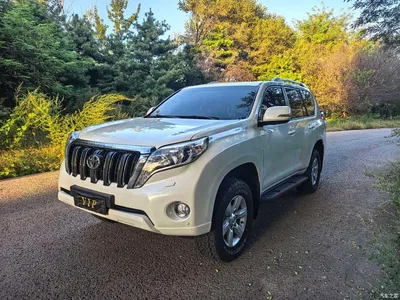 2016 Toyota Prado (Import), фото 1, лот 10765299