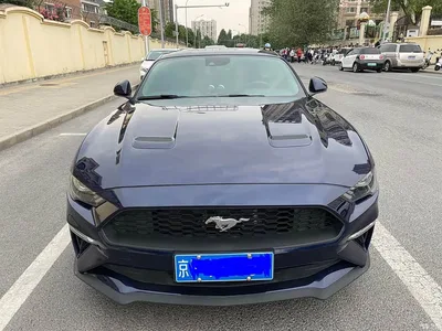 2020 Ford Mustang 2.3L EcoBoost, фото 2, лот 10281172