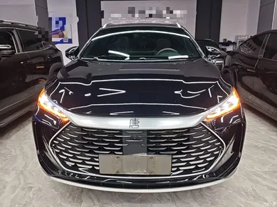 2024 BYD Tang New Energy DM-i Glory Edition 112KM Deluxe, фото 3, лот 11182685