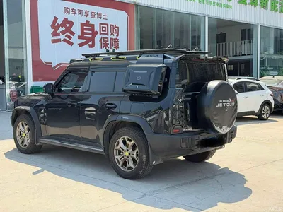 2023 Jetour Traveler 2.0T 4WD Conquest PRO, фото 4, лот 10394177
