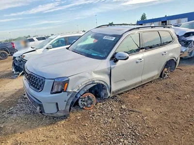 2025 KIA TELLURIDE SX-PRESTIGE X-LINE, фото 1, лот 10667751
