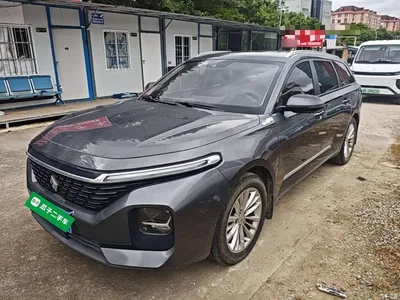 2021 Baojun Valli 1.5T Dali Sky CVT Premium, фото 2, лот 10408491