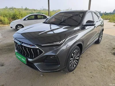 2021 Changan Oshan Changan Oushang X5 1.5T DCT Premium, фото 1, лот 11146336