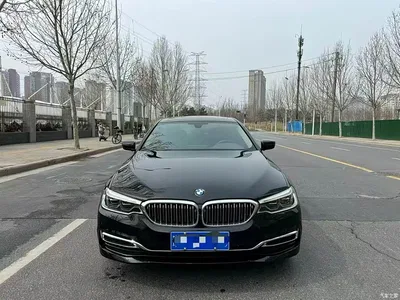 2020 BMW 5 Series 530Li Leading Luxury Package, фото 2, лот 11138735