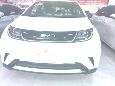 2025 BYD Dolphin 420km Vitality Edition, фото 2, лот 11136991