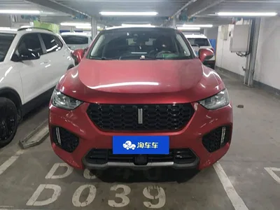 2017 WEY VV5 2.0T Flagship Model, фото 2, лот 10404217