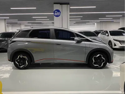 2021 BYD Dolphin Model 405km Fashion Edition, фото 4, лот 11095632