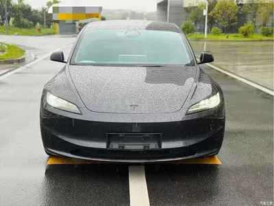 2023 Tesla Model 3 Rear-Wheel Drive, фото 2, лот 10354801