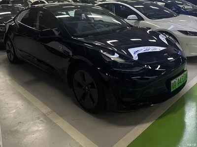2019 Tesla Model 3 (Import) Long Range RWD Version, фото 3, лот 10357895