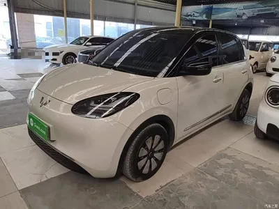 2023 Wuling Motors Wuling Bingo Model 333km Joy+ Version, фото 2, лот 10435234