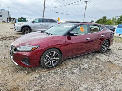 2020 NISSAN MAXIMA SL, фото 1, лот 11186538