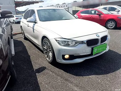 2019 BMW 3 Series 320Li Fashion Type, фото 4, лот 10457726