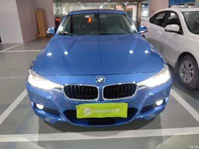2019 BMW 3 Series 320Li M Sport Package, фото 3, лот 10458202