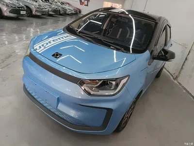 2021 Sehol Flower Fairy 302km Luxury 30.2kWh, фото 1, лот 11155443