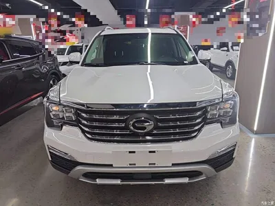 2017 GAC Trumpchi Trumpchi GS8 320T 2WD Luxury Smart Connect (7-seater), фото 3, лот 10599538