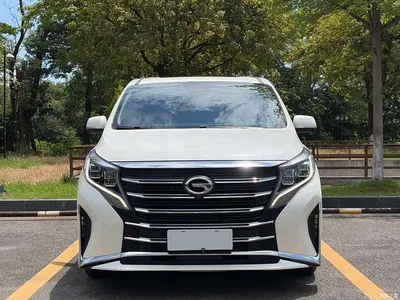 2021 GAC Trumpchi Trumpchi M8 Leading Show Series 390T Ultimate Edition, фото 2, лот 10414578