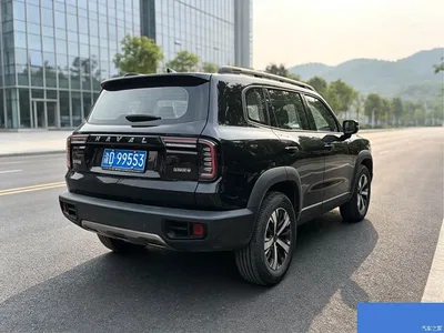 2021 Haval Big Dog 1.5T DCT 2WD Border Collie Edition, фото 4, лот 11199578