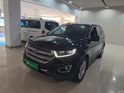 2016 Ford Edge EcoBoost 245 4WD Luxury 7-Seater, фото 2, лот 10298370