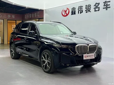 2025 BMW X5 Model xDrive 30Li Exclusive M Sport Blackout Package, фото 4, лот 10237894