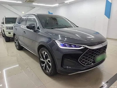 2025 BYD Tang New Energy DM-i 115KM Prestige Type, фото 4, лот 10272462