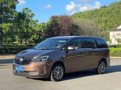 2020 Buick GL8 Model Land Business Class 652T Comfort, фото 1, лот 10253698