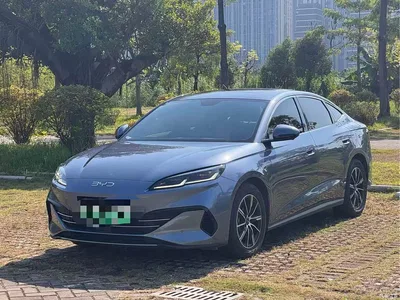 2024 BYD Seal 06 New Energy DM-i 120KM Honor, фото 1, лот 11585583