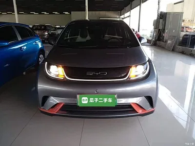 2021 BYD Dolphin Model 405km Fashion Edition, фото 3, лот 11545728