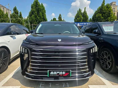 2024 Dongfeng Starlight V9 1.5TD 200km Cloud Ladder Series Premium, фото 2, лот 11161074