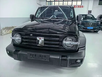 2024 Tank 300 Model 2.0T Challenger, фото 2, лот 10344905