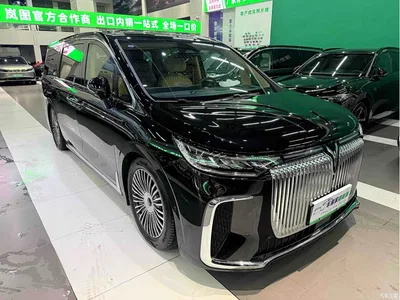2025 Voyah Auto Voyah Dreamer PHEV AWD Flagship Kunpeng Edition, фото 3, лот 10358736