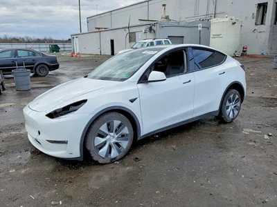 2023 TESLA MODEL Y, фото 1, лот 10850926