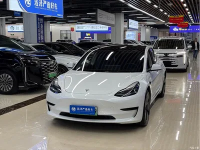 2022 Tesla Model 3 Model Rear-Wheel Drive Version, фото 1, лот 11545115