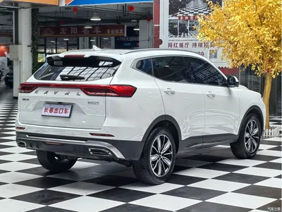 2023 Haval H6 National Trend Edition 1.5T Automatic Champion, фото 4, лот 11538168