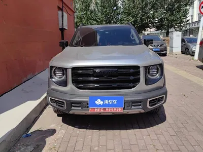 2022 Haval Big Dog 1.5T DCT FWD Border Collie Edition, фото 2, лот 10361732
