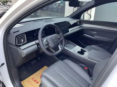 2026 BYD Song Pro New Energy DM-i 133KM Progressive, фото 4, лот 11058614