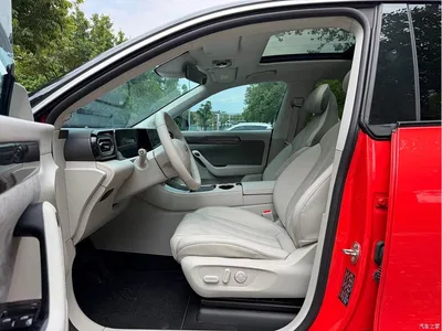 2021 Leapmotor C11 Model Premium Edition, фото 4, лот 10399913