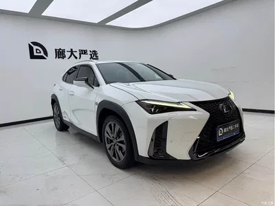 2019 Lexus UX 260h F SPORT AWD Edition China VI, фото 3, лот 10314859