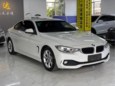 2014 BMW 4 Series 420i Fashion Edition, фото 3, лот 10414986