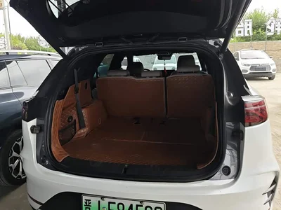 2024 BYD Tang New Energy DM-i Glory Edition 112KM Deluxe, фото 4, лот 10476544