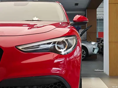 2017 Alfa Romeo Stelvio 2.0T 200HP Elite, фото 2, лот 10239862