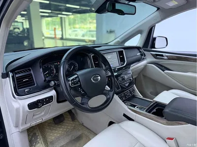 2018 GAC Trumpchi Trumpchi M8 320T Premium Edition, фото 4, лот 10415449