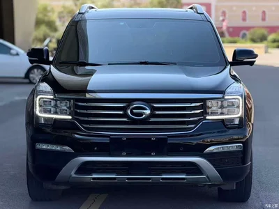 2019 GAC Trumpchi Trumpchi GS8 390T 2WD Luxury Smart Connect Edition (7-seater), фото 1, лот 10416624