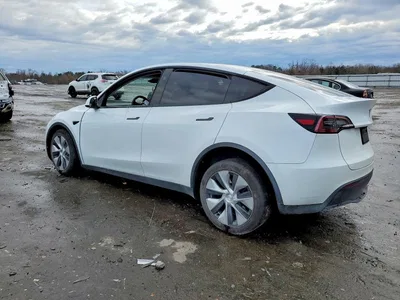 2023 TESLA MODEL Y, фото 2, лот 10850926
