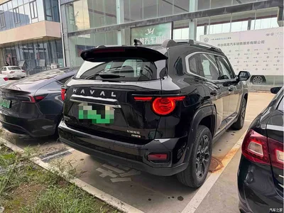 2024 Haval Second-Generation Big Dog New Energy Hi4 102km Trend Electric Plus, фото 4, лот 11157396