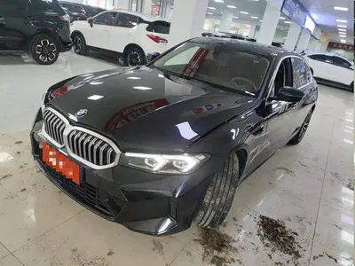 2024 BMW 3 Series 320Li M Sport Package, фото 1, лот 11180990