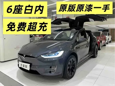 2019 Tesla Model X Long Range Version, фото 1, лот 10455224