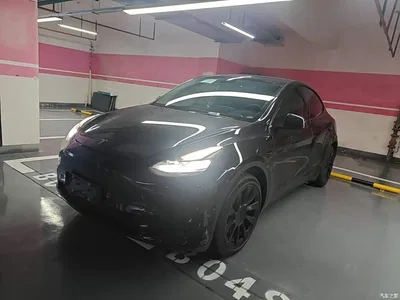 2022 Tesla Model Y Facelift Rear-Wheel Drive Version, фото 1, лот 10370444